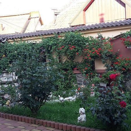 Pensiunea Beltina Rasinari Bagian luar foto
